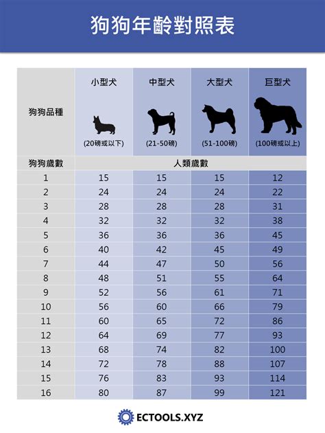 狗 15歲|狗狗年齡對照表：你家狗狗現在幾歲了？